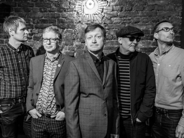 The Groovy Cellar, 2018 (Photo: Susann Klauck)